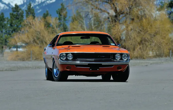 Picture Dodge Challenger, Muscle car, Vehicle, Classic vehicle
