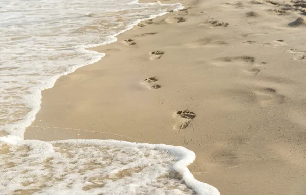 Picture sand, wave, beach, traces, summer, beach, sea, sand, wave, footprints