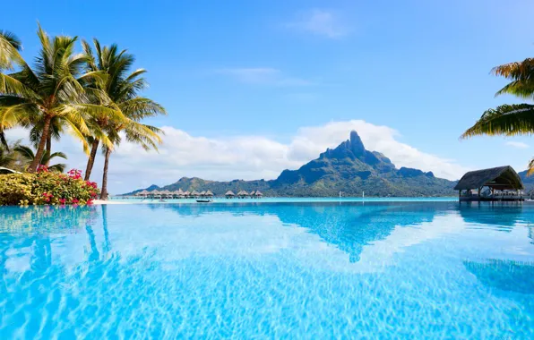 Picture palm trees, the ocean, island, pool, Bora Bora, resort, French Polynesia, Bungalow