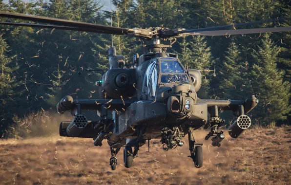 Picture Apache, AH-64 Apache, Royal Netherlands Air Force, Attack helicopter, Netherlands air force, Boeing AH-64D Apache