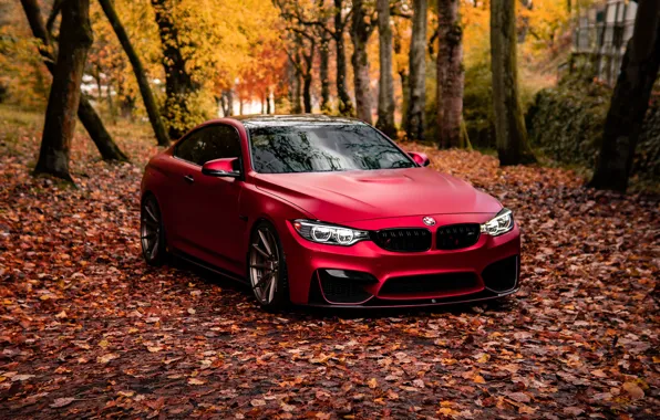 Picture Red, Autumn, F82, M4