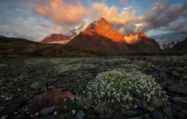 Picture light, flowers, mountains, stones