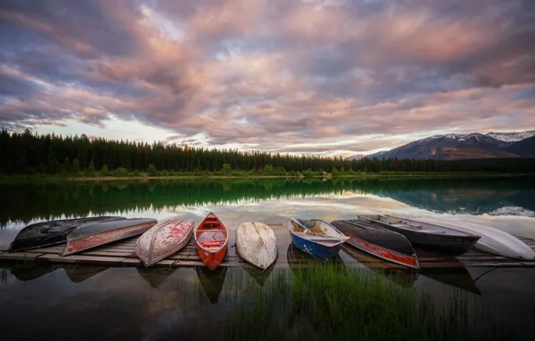 Picture forest, summer, the sky, grass, clouds, mountains, reflection, shore, boats, pond, a lot