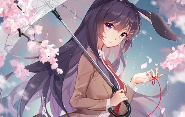 Picture girl, flowers, rain, umbrella, Sakura, Seishun Yarou wa bunny girl Senpai no Yu Thigh