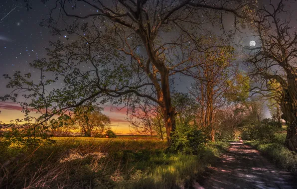 Picture road, field, the sky, trees, landscape, nature, the moon, stars, the evening