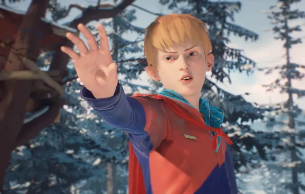 Picture Chris, Life is Strange, Captain Spirit, The Awesome Adventures of Captain Spirit