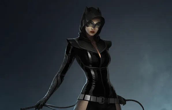 Picture DC Comics, Catwoman, Injustice 2