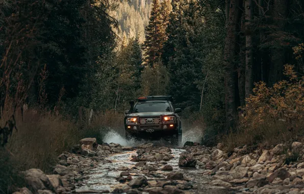 Picture dirt, the roads, Toyota, Tacoma, Off road, 2021