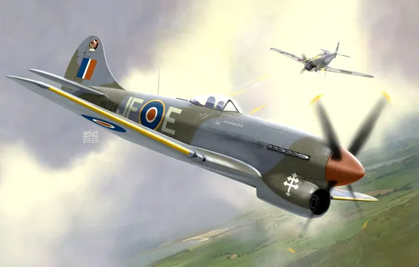 Picture Fighter, RAF, The Hawker Tempest, Tempest Mk.V, Combat aircraft