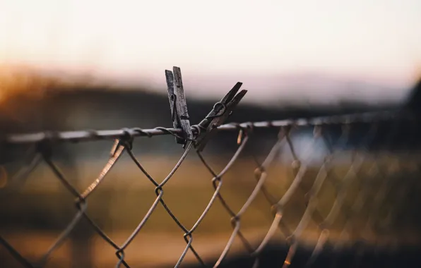 Picture background, the fence, clothespins
