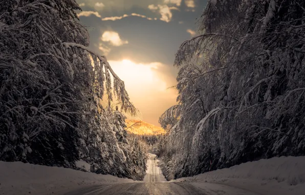 Picture winter, road, forest, snow, trees, Sweden