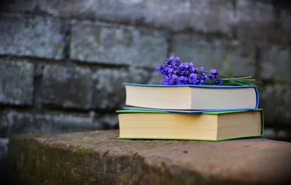 Picture flowers, wall, books, lavender