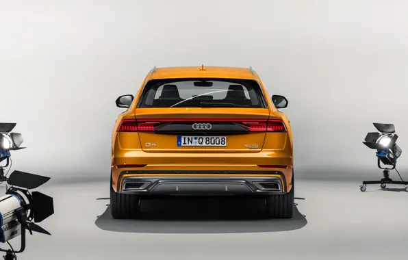 Picture rear view, Quattro, 2018, S-Line, 50 TDI, Audi Q8