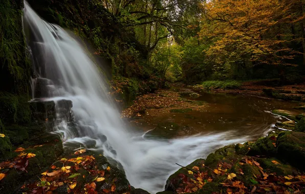 Picture autumn, forest, waterfall, Germany, river, fallen leaves