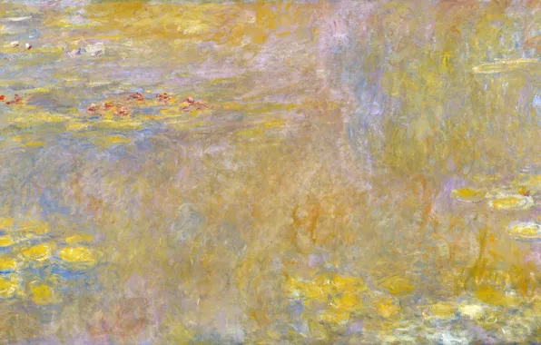 Picture Oscar, water lilies, Claude Monet
