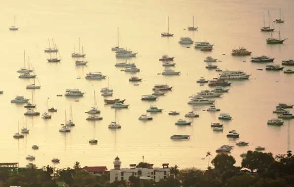 Picture the city, the ocean, shore, ships, Bay, yachts, boats, morning, Thailand, Thailand, at anchor, Phuket …