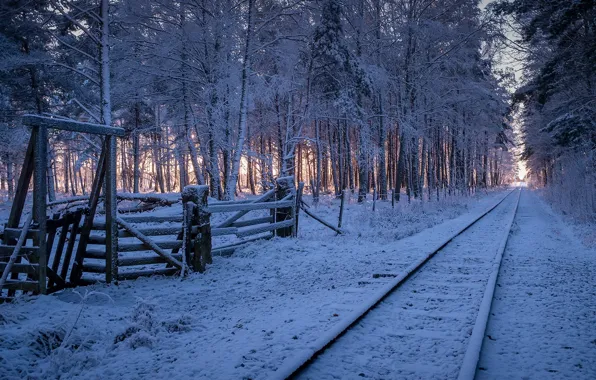 Picture winter, forest, railroad