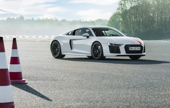 Picture supercar, Audi R8, 2018, V10, RWS