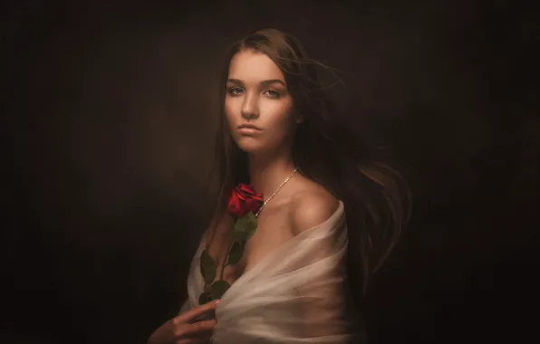 Picture look, girl, face, the dark background, rose, portrait, Cape, long-haired