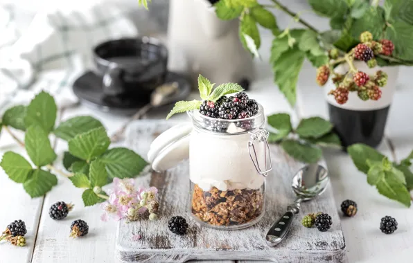 Picture berries, Breakfast, BlackBerry, twigs, jar, yogurt, granola, Karina Klachuk