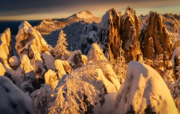 Picture winter, trees, landscape, sunset, mountains, nature, snow, Michael Turkei