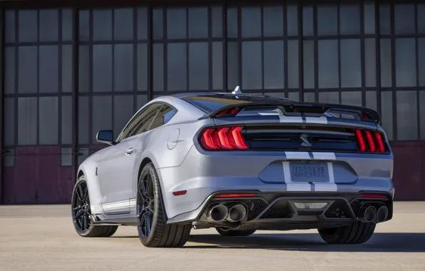 Picture Mustang, Ford, Shelby, GT500, Ford, Mustang, Shelby, Rear view, Heritage Edition, 2022