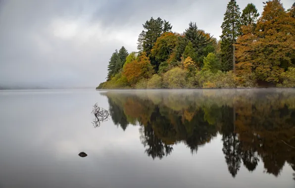 Picture reflection, Wales, Lake Vyrnwy, Powys, Llanwddyn