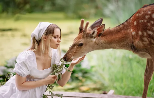 Picture girl, nature, animal, deer, feeding, Alexandra Savenkova