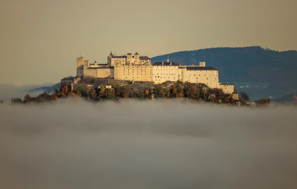 Picture autumn, forest, the sky, light, fog, castle, view, Austria, hill, in the fog, Hohensalzburg