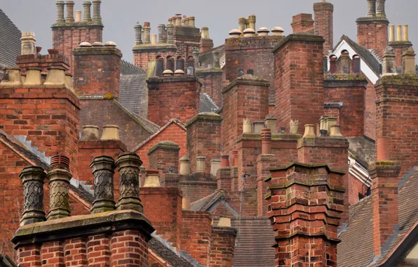 Picture roof, the city, house, England, Lichfield District, Lichfield