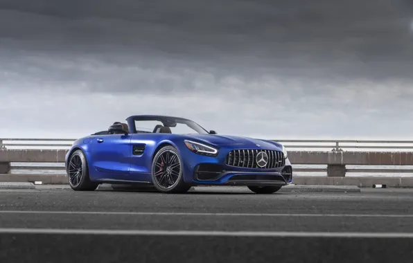 Picture Roadster, Mercedes-Benz, AMG, 2019, GT C