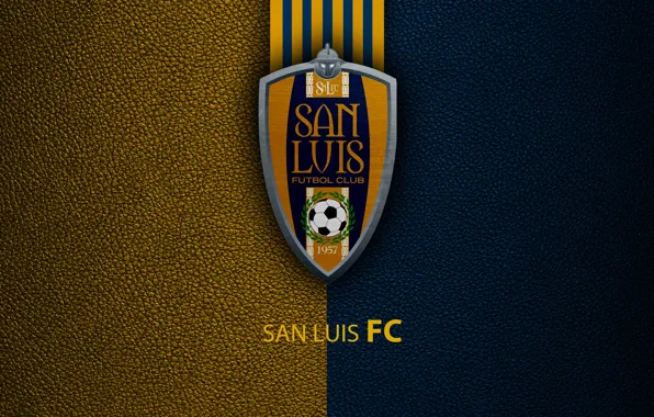 Picture wallpaper, sport, logo, football, San Luis