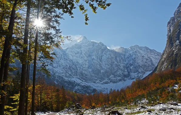 Picture autumn, forest, trees, mountains, Slovenia, Slovenia, The Julian Alps, Julian Alps, Vrata Valley, Mount Triglav, …