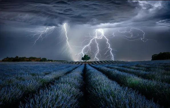 Picture the storm, field, landscape, clouds, nature, lightning, lavender