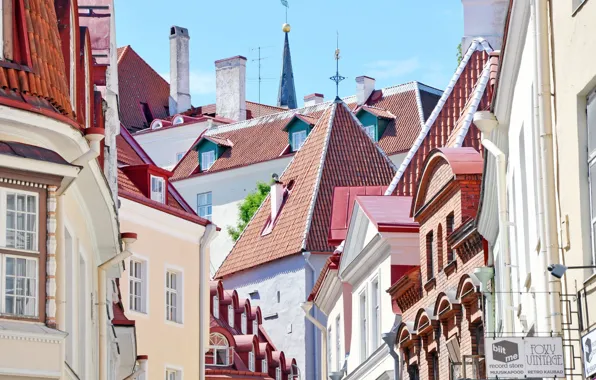 Picture street, home, Estonia, Tallinn, flavor