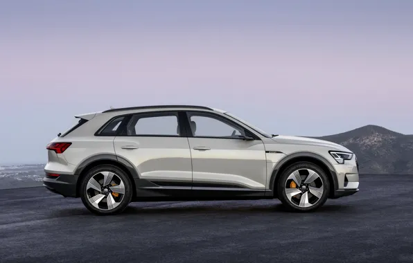 Picture grey, Audi, profile, E-Tron, 2019