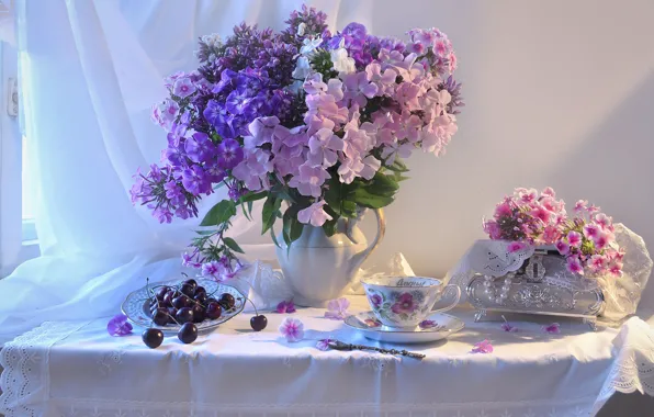 Picture flowers, berries, table, plate, Cup, pitcher, still life, curtain, cherry, napkin, Phlox, Valentina Fencing