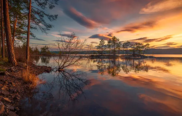 Picture forest, the sky, sunset, lake, Norway, Norway, Ringerike, Ole Henrik Skjelstad
