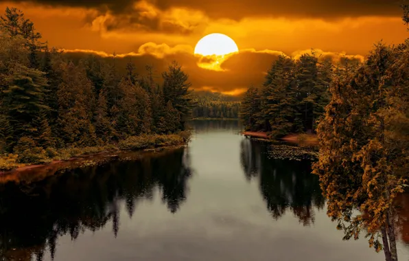 Picture forest, the sun, sunset, reflection, shore, pond