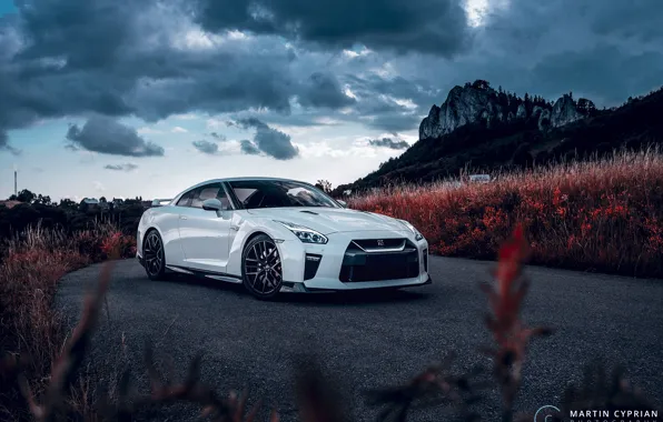 Picture Nissan, GT-R, 2019, Martin Cyprian Photography