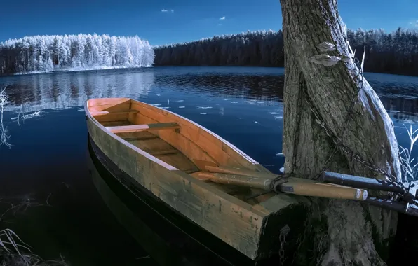 Picture trees, landscape, nature, lake, boat, forest, Bank