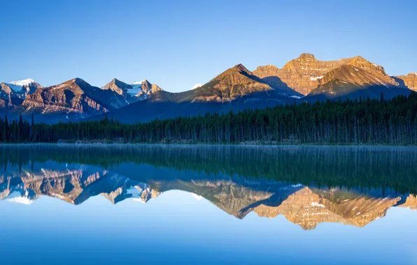 Picture mountains, reflection, Canada, Albert, Banff National Park, Herbert Lake, lake Herbert
