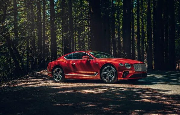 Picture Bentley, Continental GT, V8, 2019