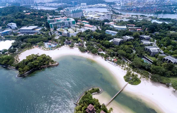 Picture trees, bridge, the city, coast, building, height, home, Singapore, Palawan Beach