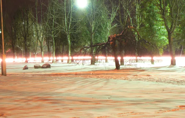 Picture Belarus, Mogilev, my photo, night scene, Tekhnopribor