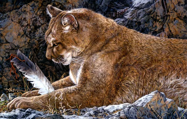 Picture look, pose, stones, pen, figure, picture, art, lies, painting, Puma, Cougar, Judy Larson