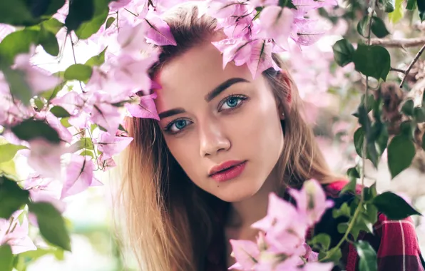 Picture look, Girl, beautiful, flowers, Viktor Kobzev