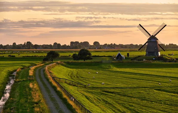 Picture road, the sky, the sun, trees, field, mill, houses, Netherlands, Etersheim