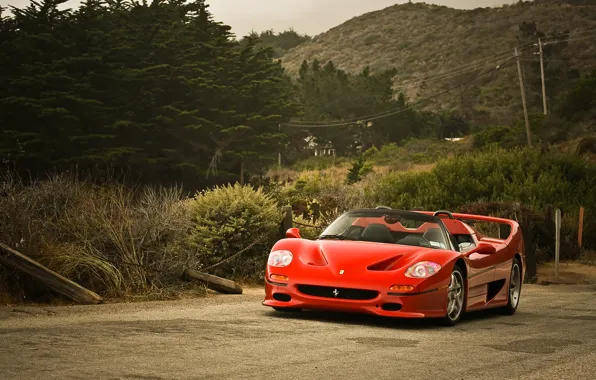 Picture Ferrari, Road, F50