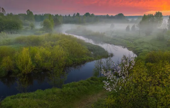 Picture landscape, nature, fog, river, morning, Vladimir Ryabkov, Uzola
